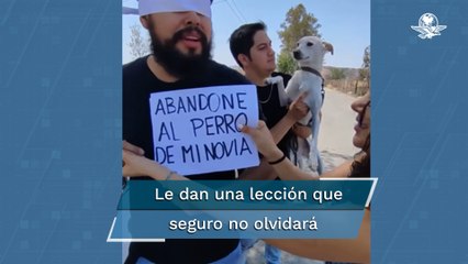 “Perdió” a perrita por no ser de raza y, en venganza, lo abandonan en la carretera