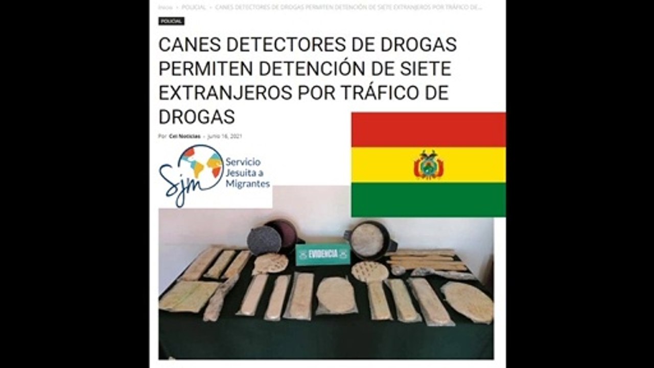 7 bolivianos detenidos por tráfico de drogas en distintos operativos en Iquique - CEI Noticias