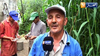 النشرة الأمازيغية ليلة الخميس 17 جوان 2021