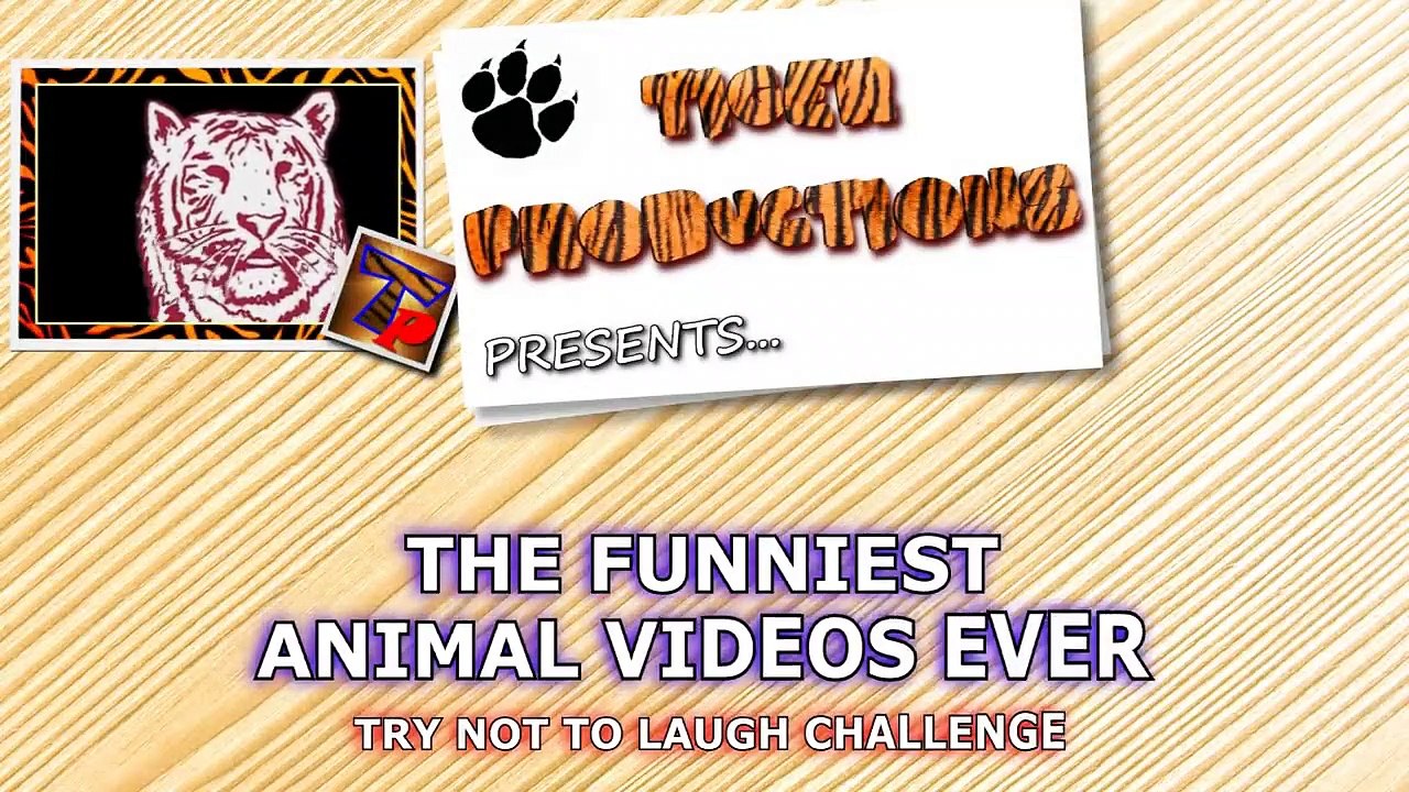 Super TRY  LAUGH CHALLENGE - Funny ANIMAL compilation