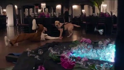 Love Weddings  Other Disasters Movie Trailer