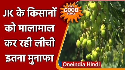 Jammu-Kashmir में किसानों के लिए वरदान बनी Litchi की खेती । वनइंडिया हिंदी