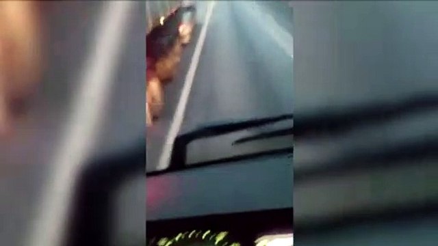 Motorista morre em acidente com caminhão na BR-277 em Morretes