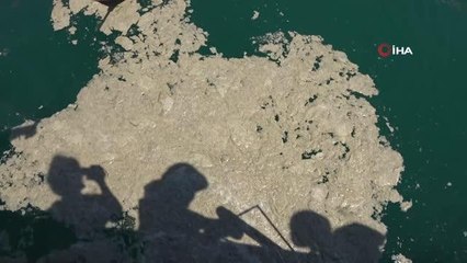 Yalova'da 9 günde bin 478 metreküp müsilaj toplandı