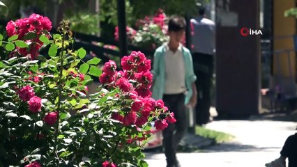 Türkiye son 50 yılın en sıcak mevsimini yaşıyor