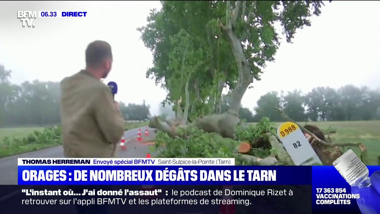 Des routes ont été coupées à la circulation après la chute d'arbres dans le Tarn