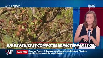 Dupin Quotidien : Jus de fruits et compotes impactés par le gel - 18/06