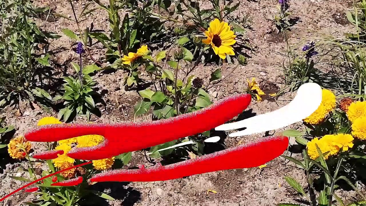 Her mit dem Wein   Katharina Winand & Andreas Ert im Studio21