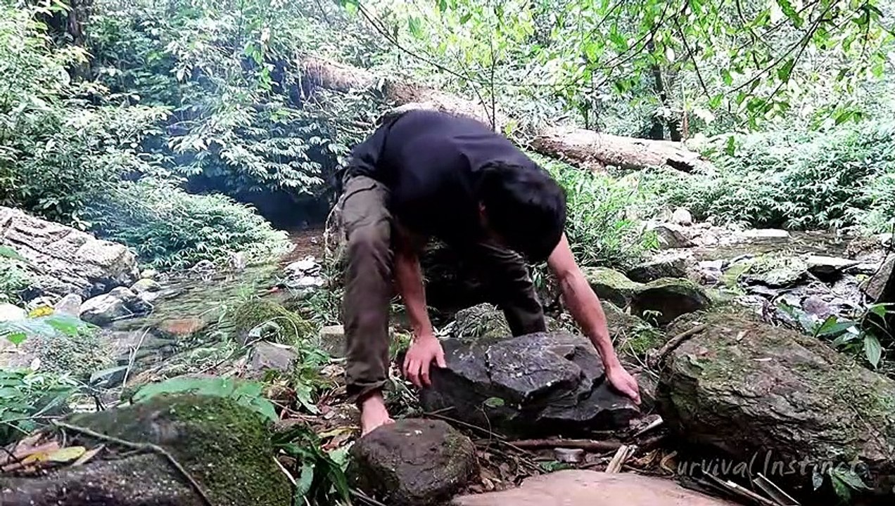 Furniture and Traps, Survival in the tropical Rainforest, ep 23
