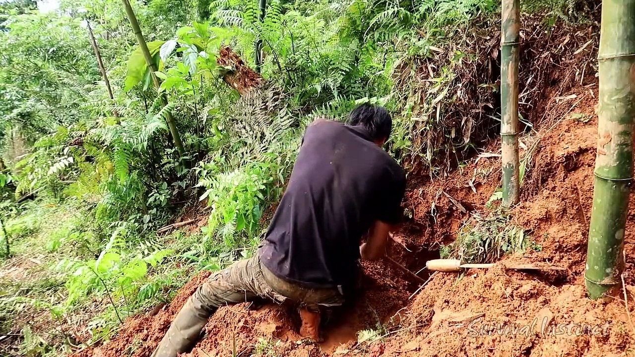 Hunting and firewood Storage, Survival in the tropical Rainforest, ep 28