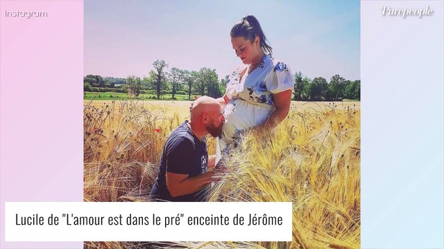 Lucile (L'amour est dans le pré) enceinte de Jérôme : prénom du bébé, annonce... Leurs confidences