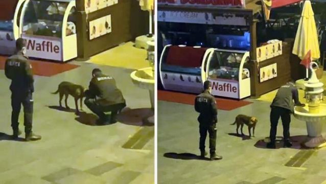 Bekçinin çeşmenin başında bekleyen köpeğe eliyle su içirdiği anlara ilişkin görüntü, yürekleri ısıttı