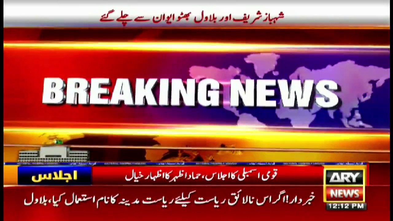 Hammad Azhar's Speech in National Assembly Budget Session