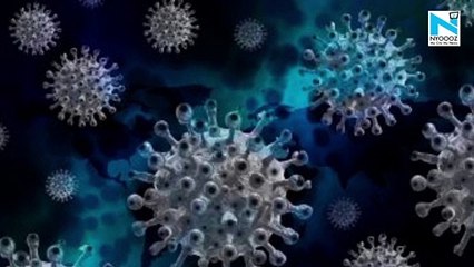 WHO adds new Lambda COVID strain as 'variant of interest'