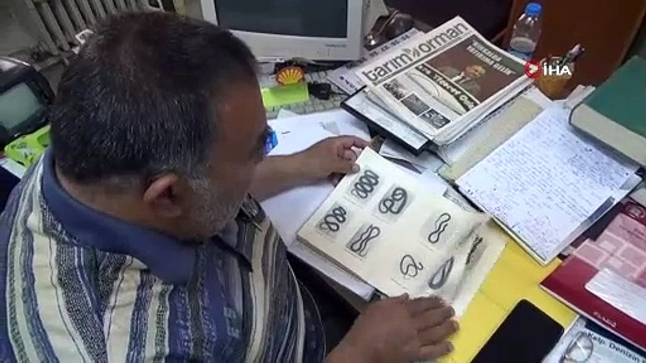 Depremler yılanların da yaşam alanlarını bozdu, ekolojik dengesizlik popülasyonu arttırdı