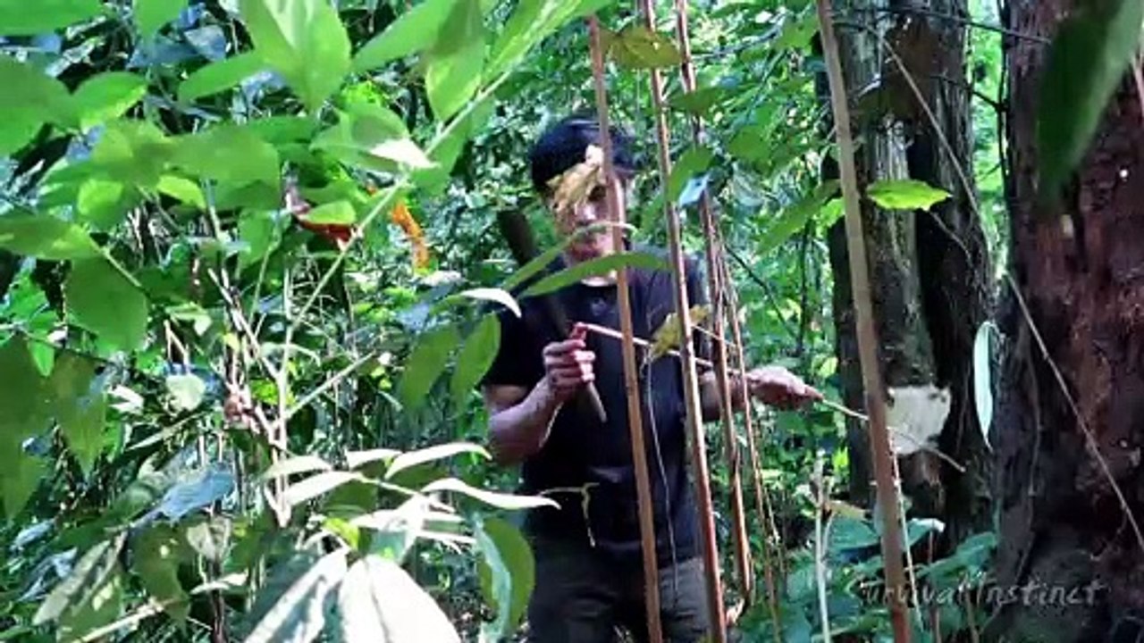 Bow and Arrows (new), Survival in the tropical Rainforest, ep 29