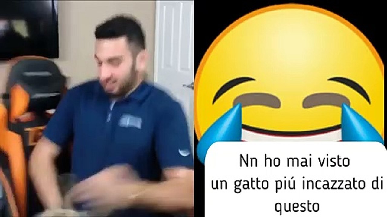 Compilation Felina /gacha