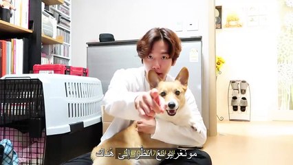 فلوق بيكهيون  - مونغريونغ - كيونق تيوب