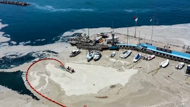 ظاهرة الصمغ البحري في سواحل عدد من المدن التركية