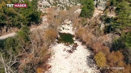 BM: Kuraklık gizli bir küresel kriz