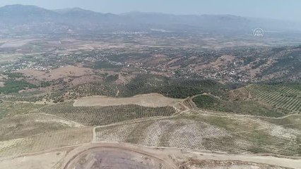 Tarım arazisine dönüştürülen kömür madeni sahasından 6 ülkeye zeytinyağı ihracatı