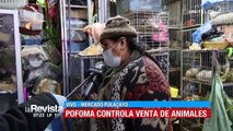 Cochabamba: Hallan animales en vitrinas, sin alimento ni vacunas que eran comercializados