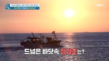 바닷속 암초에 숨은 제철 맞은 항암초의 정체!