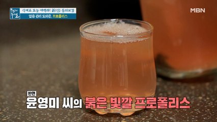 염증 질환 극복한 비법 공개! '레드 프로폴리스'