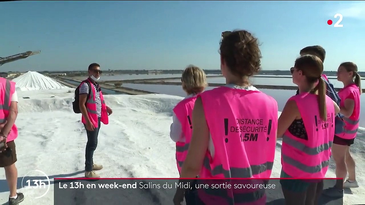 Salins du Midi : un marais où l'on voit la vie en rose