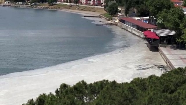 ÇANAKKALE - Kordon Boyu'nda müsilaj yoğunluğu oluştu