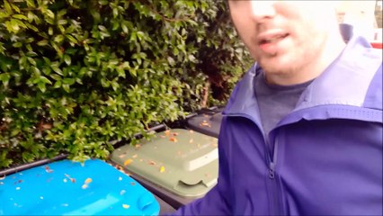 Plans to standardise household waste collections