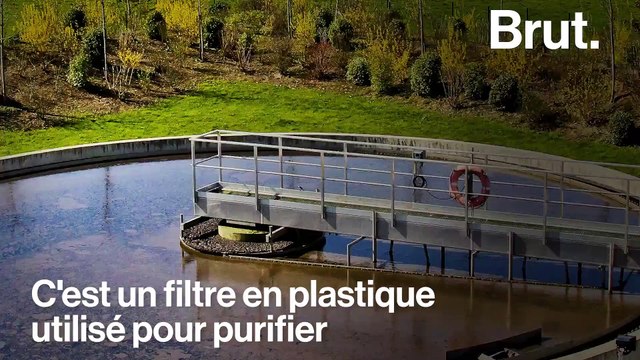 Une pollution massive aux biomédias menace les plages françaises