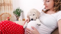 Her Dog Was Whining Near Her Pregnant Belly. She Then Received the Bad News From the Doctor