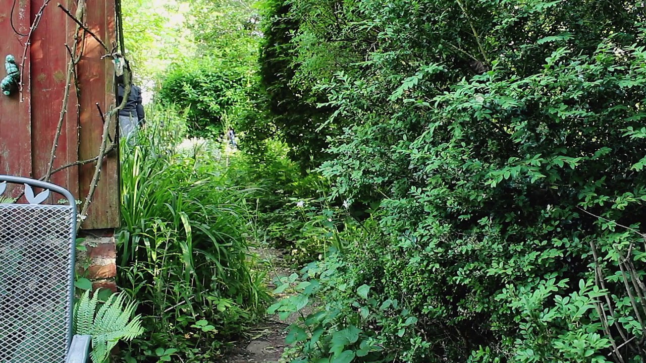 Der Bienenschwarm - ein faszinierendes Naturschauspiel