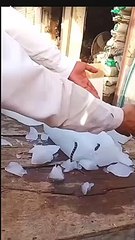 baraf mein saamp nikal aaya