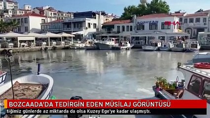 BOZCAADA'DA TEDİRGİN EDEN MÜSİLAJ GÖRÜNTÜSÜ