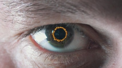 Styx - Reveries (Lyric Video)