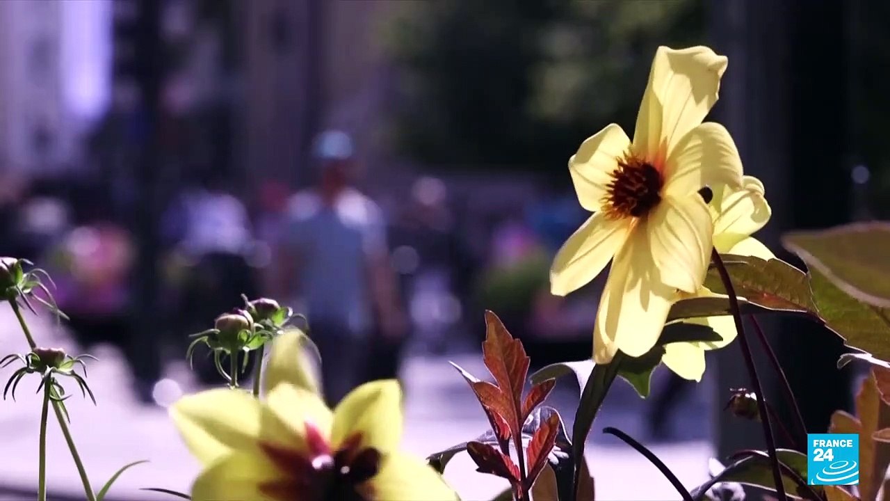 Several EU countries ease Covid-19 restrictions