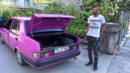 Köpeklerin saldırısına uğrayan yavru ayıyı vatandaşlar kurtardı