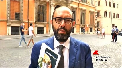 Nannicini: serve più attenzione per welfare manager