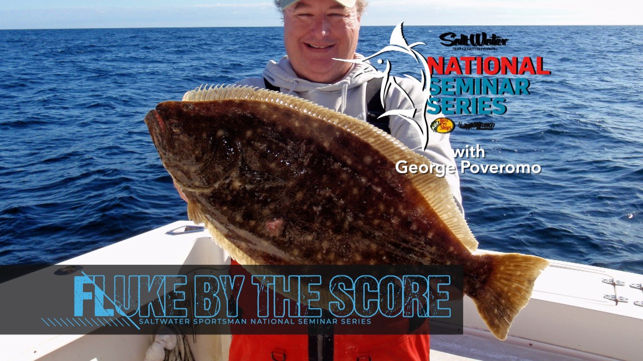 Fluke By The Score