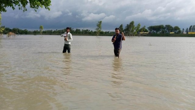 Eastern UP rivers in spate, water level rising continuously