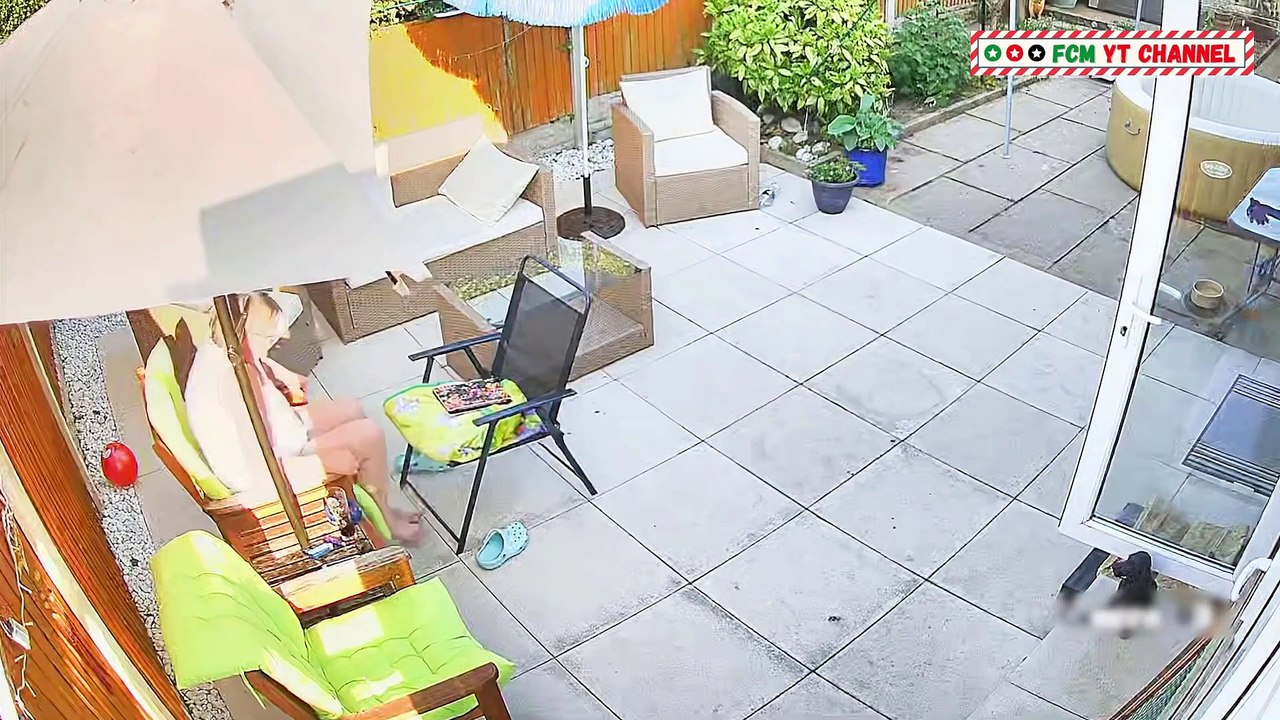 Fail Compilation Media - Fails you Missed -  Fails of the month 2021