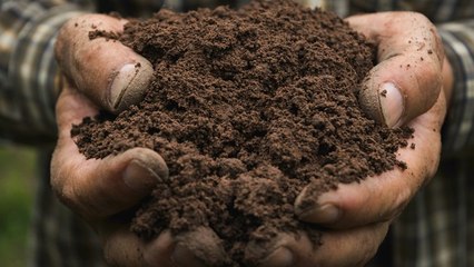Oregon Legalizes Human Composting