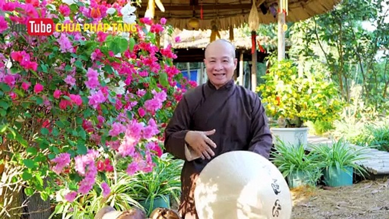 Giải Nhiệt Cơ Thể Mùa Hè, Không Còn Lo Mụn Cho Làn Da Tươi Trẻ, Bình Can, Chữa Kiết Lỵ/thức Uống Tốt
