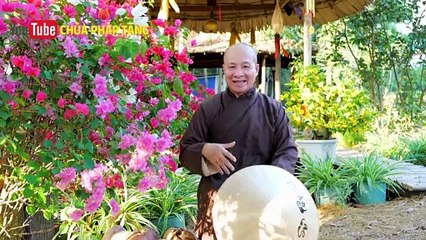 Giải Nhiệt Cơ Thể Mùa Hè, Không Còn Lo Mụn Cho Làn Da Tươi Trẻ, Bình Can, Chữa Kiết Lỵ/thức Uống Tốt