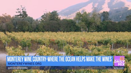Get to Know Monterey Wine Country
