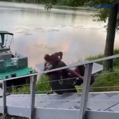 Best Compilation Of World's Funniest Moments With Creazy People