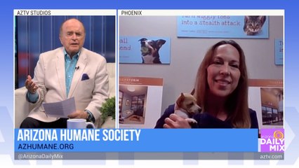 Pat McMahon Introduces You to the Arizona Humane Society