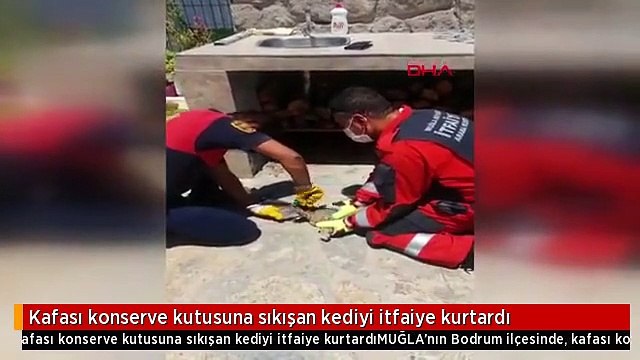 Kafası konserve kutusuna sıkışan kediyi itfaiye kurtardı